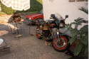 Image Gpz 900 Kleines Service