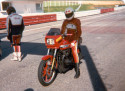 Image Piefke Ready To Go