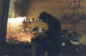 Image Roderich